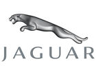 C2s48923 Jaguar Oem 2008 X-type