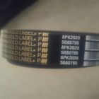 Dl-5080795-tfc Dayco Poly Rib Gold Label Belt