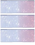 50 Blank Stock Paper - 3 On Page Business Blue/red Prismatic. Fixed Price $15.11.