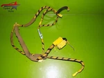 97 98 99 Prelude Oem Wire Harness 77961-S30-A001. Fixed Price $19.79.