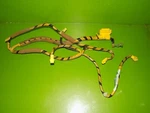 97 98 99 Prelude Oem 77961-S30-A001 Srs Airbag Wire Harness. Fixed Price $18.79.