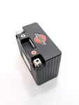 Lightweight Battery. Fixed Price $131.00.