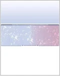2500 Blank Check Stock - In Middle Blue/red Prismatic. Fixed Price $127.97.
